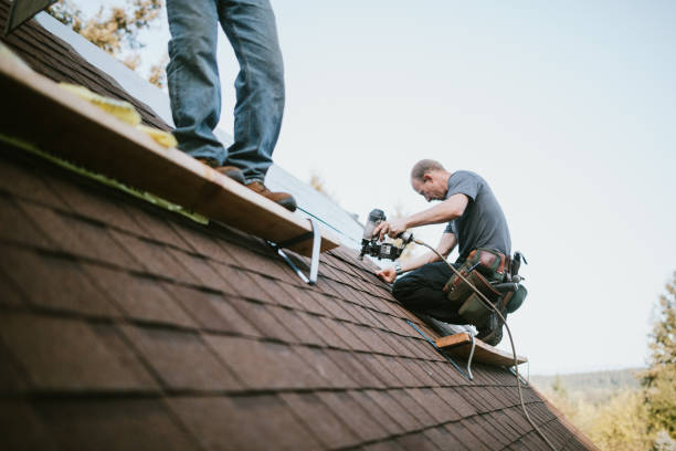 Quick and Trustworthy Emergency Roof Repair Services in Chocowinity, NC