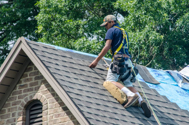 Trusted Chocowinity, NC Roofing Contractor Experts